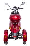 ZT63 rot hinten